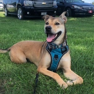 Fundraising Page: Fergie Jenkins Tyner